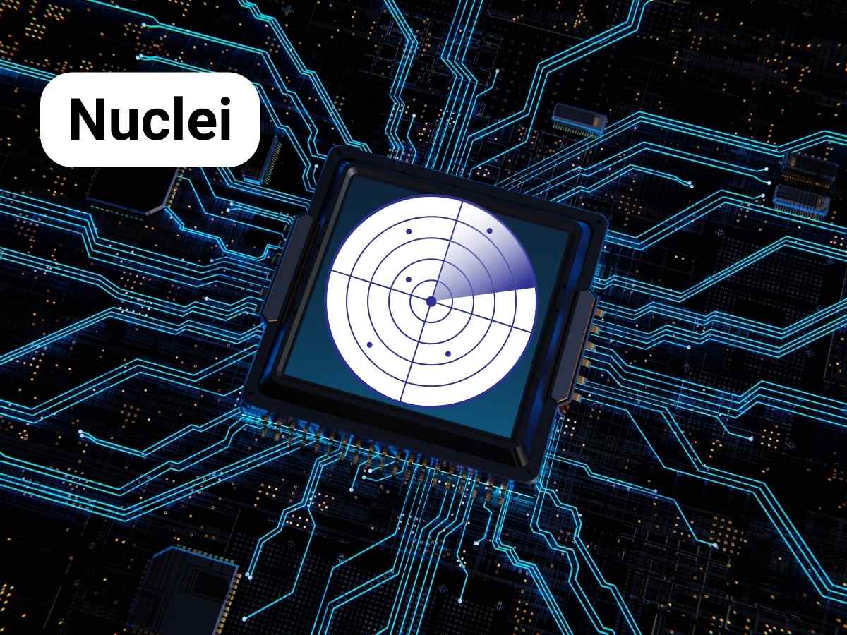 Installing Nuclei – A lightweight vulnerability scanner 