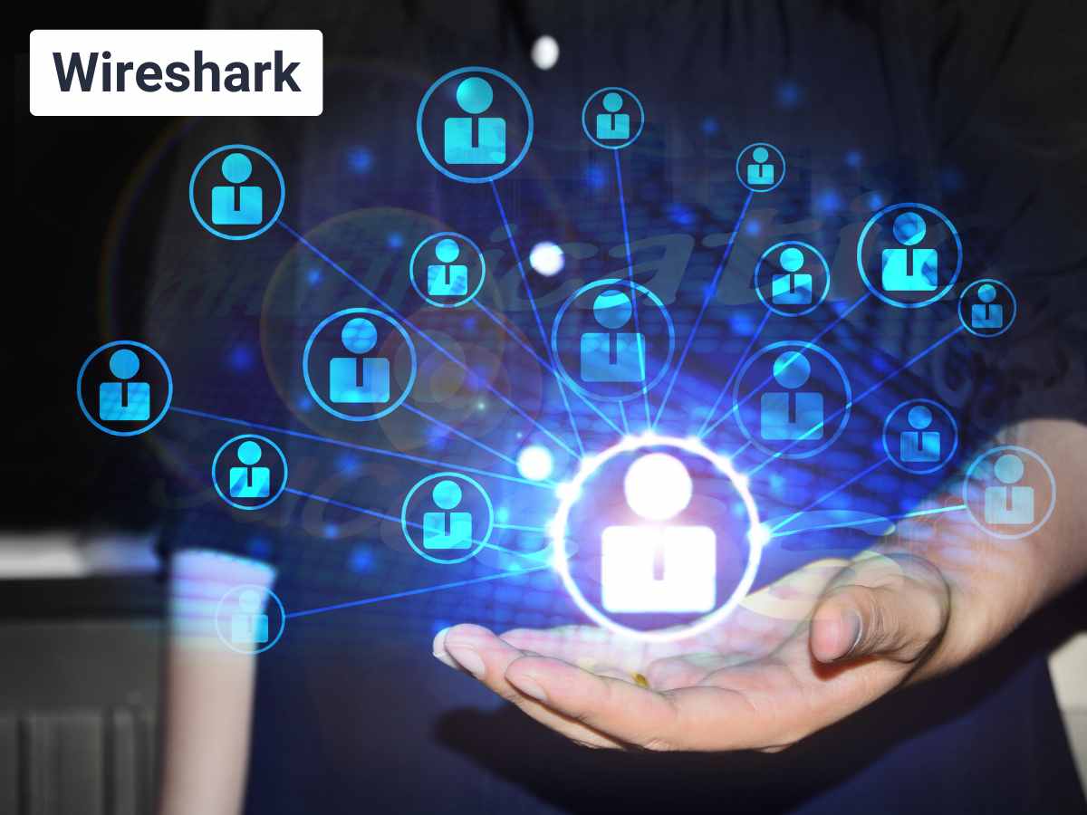 Wireshark: A Deep Dive into Network Traffic 