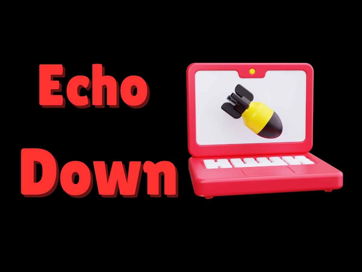 Echo Down: A Safe Tool for Understanding DDoS Mechanics 